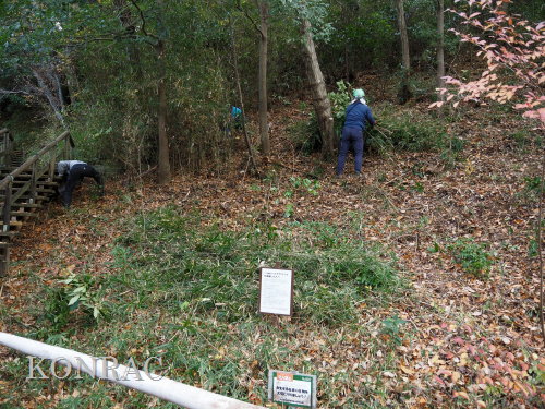 ���R��y��