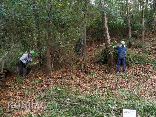 ���R��y��