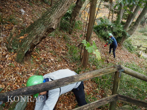 ���R��y��