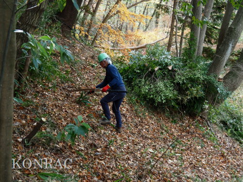 ���R��y��