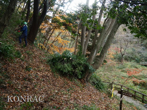 ���R��y��