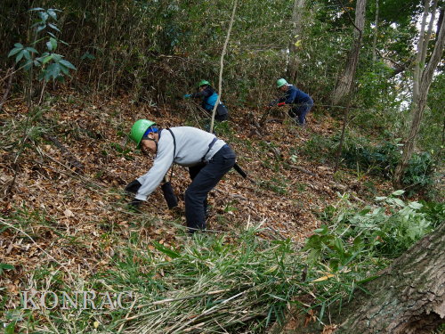 ���R��y��