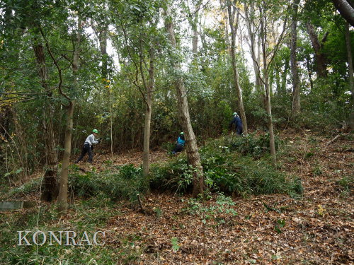 ���R��y��