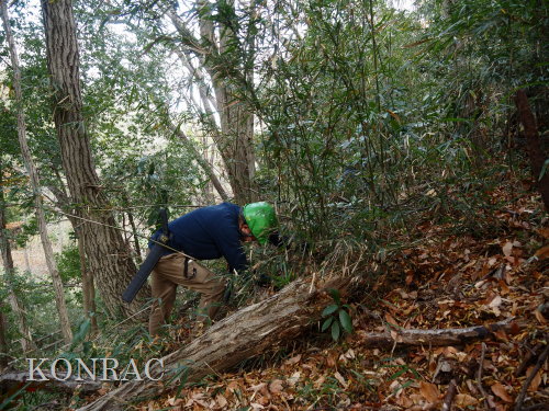 ���R��y��