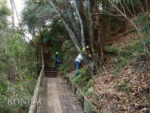 ���R��y��