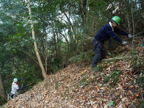 ���R��y��