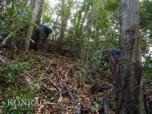 ���R��y��