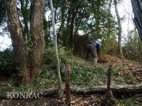 ���R��y��