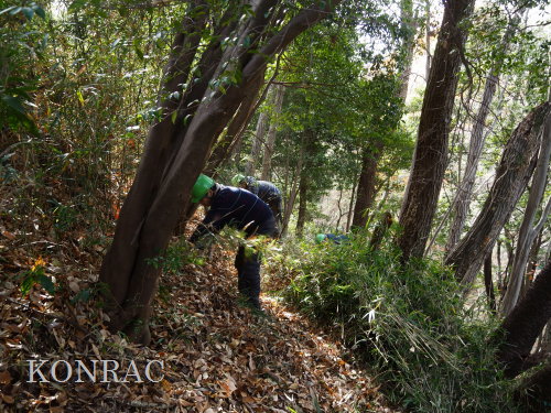 ���R��y��