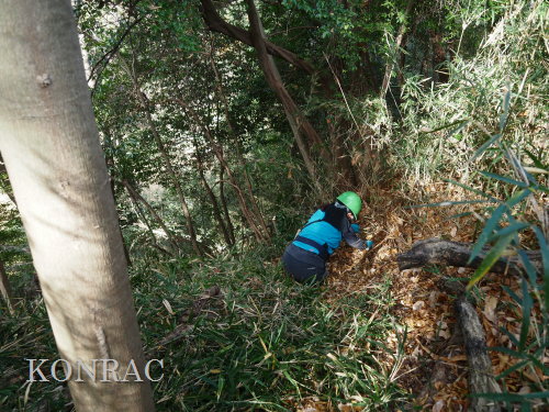 ���R��y��