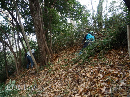 ���R��y��