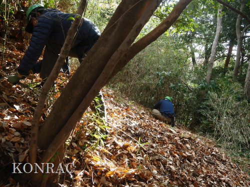 ���R��y��