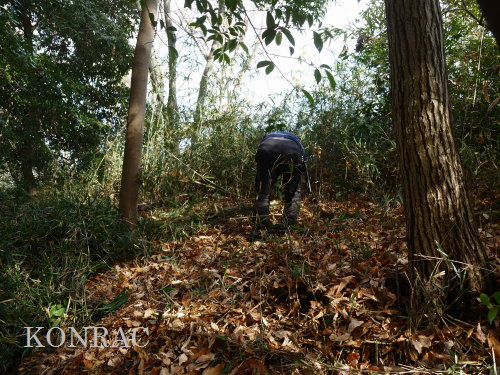 ���R��y��