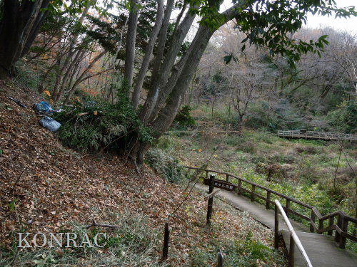 ���R��y��