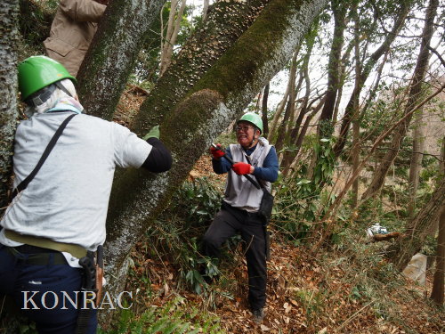 ���R��y��