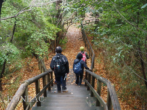 ���ы�y��