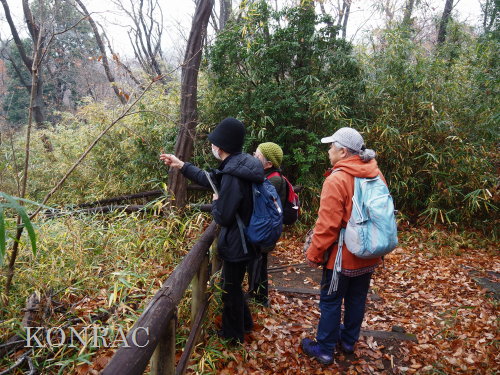 ���ы�y��