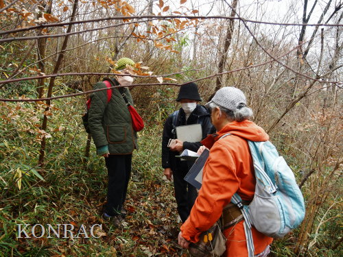 ���ы�y��