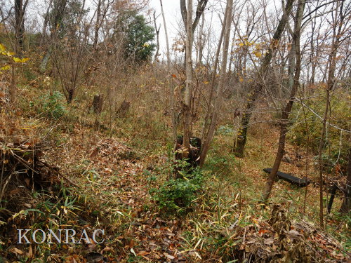 ���ы�y��