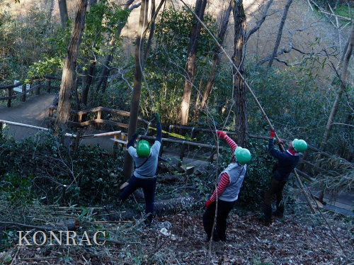 ���R��y��