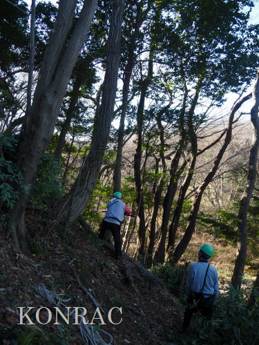 ���R��y��