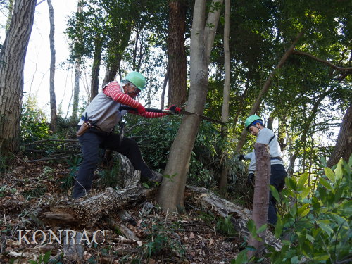 ���R��y��