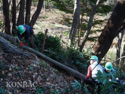 ���R��y��