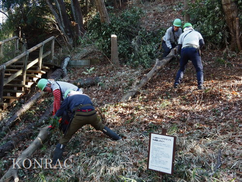 ���R��y��