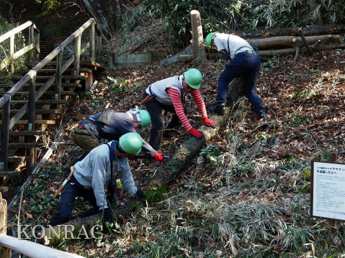 ���R��y��