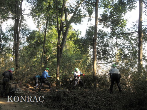 ���R��y��