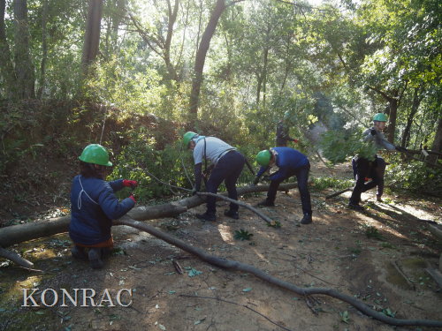 ���R��y��