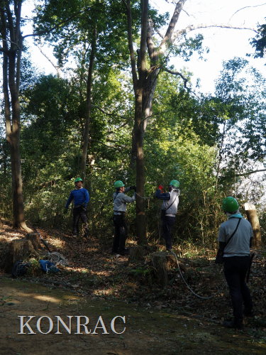 ���R��y��