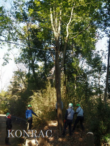 ���R��y��