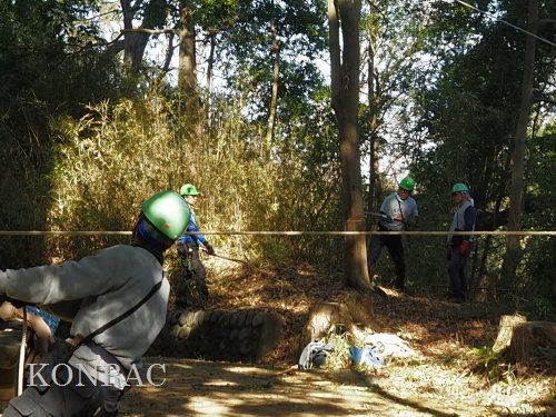 ���R��y��