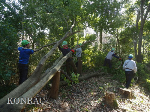 ���R��y��