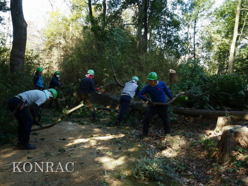 ���R��y��