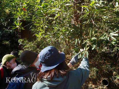 ���ы�y��