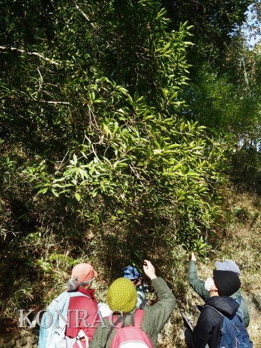 ���ы�y��