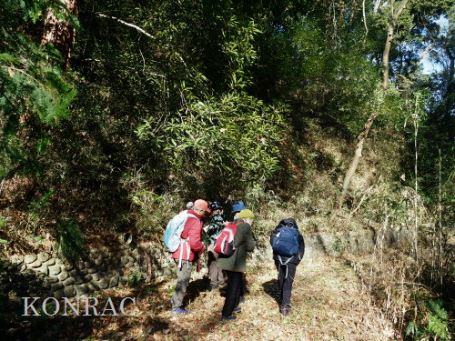 ���ы�y��