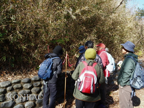 ���ы�y��