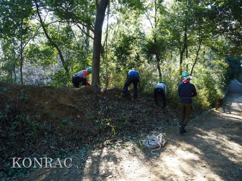 ���R��y��