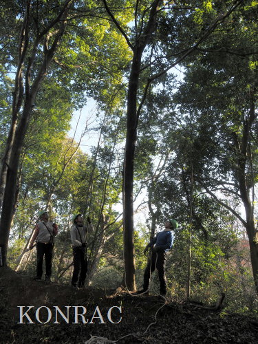 ���R��y��