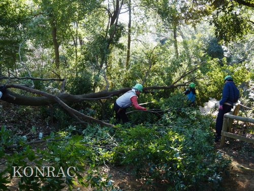 ���R��y��