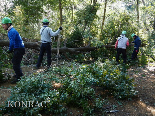 ���R��y��