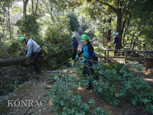 ���R��y��