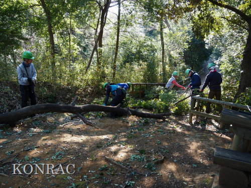 ���R��y��