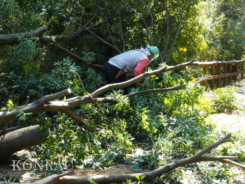 ���R��y��