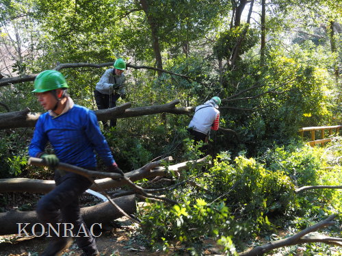 ���R��y��