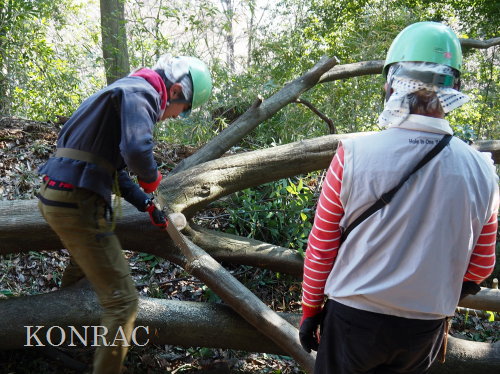 ���R��y��