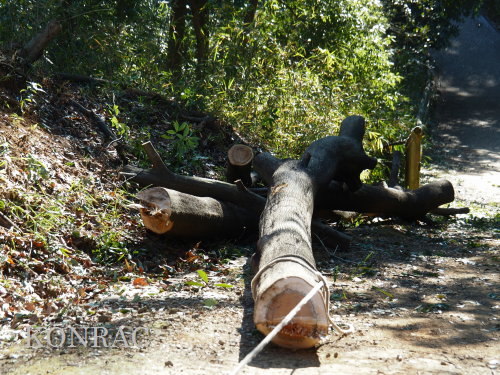 ���R��y��